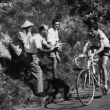 C Coppi Sulla Bocchetta X 1955-01c-coppi-sulla-bocchetta-1024x683