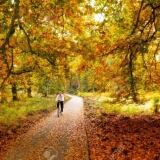 Cycling Trough The Woods In National Park De Hoge Veluwe In The Netherlands In Autumn Stock Cycling Trough The Woods In National Park De Hoge Veluwe In The Netherlands In Autumn Stock Photo X 18357792-cycling-trough-the-woods-in-national-park-de-hoge-veluwe-in-the-netherlands-in-autumn-stock-photo-728x485