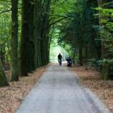 Img X 20131006-img-7590-728x485