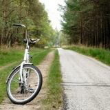 De Hoge Veluwe Park X de-hoge-veluwe-park-728x546