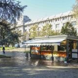 Cotolicius Centrale cotolicius-centrale-3