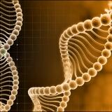 Fecondazione In Vitro Mild Stimulation fecondazione-in-vitro-mild-stimulation