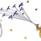 Piccolo Principe Evid X piccolo-principe-evid-300x163