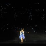 Fireflies X fireflies-1024x682