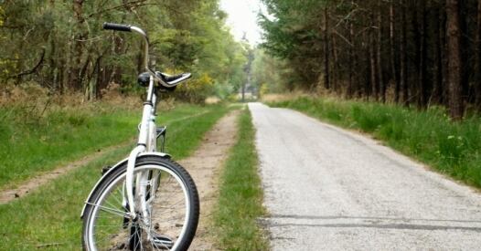 De Hoge Veluwe Park X de hoge veluwe park x