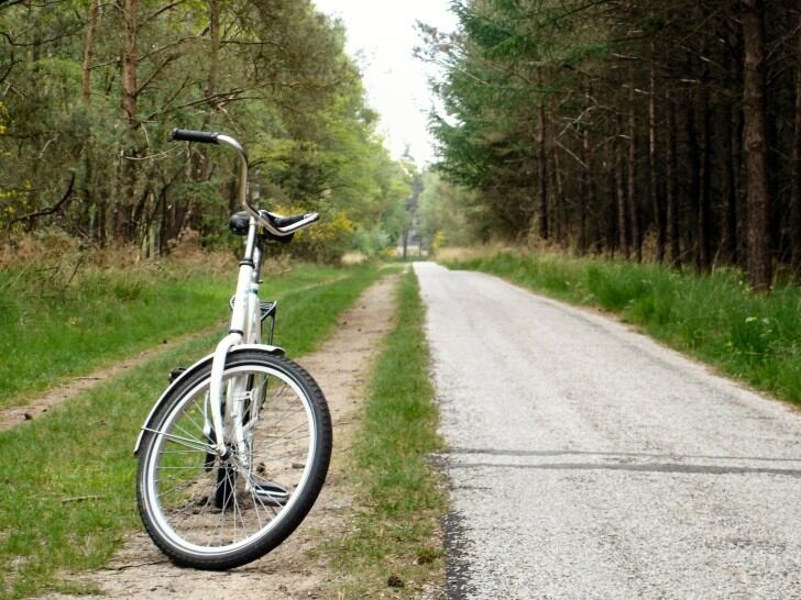 De Hoge Veluwe Park X Olanda
