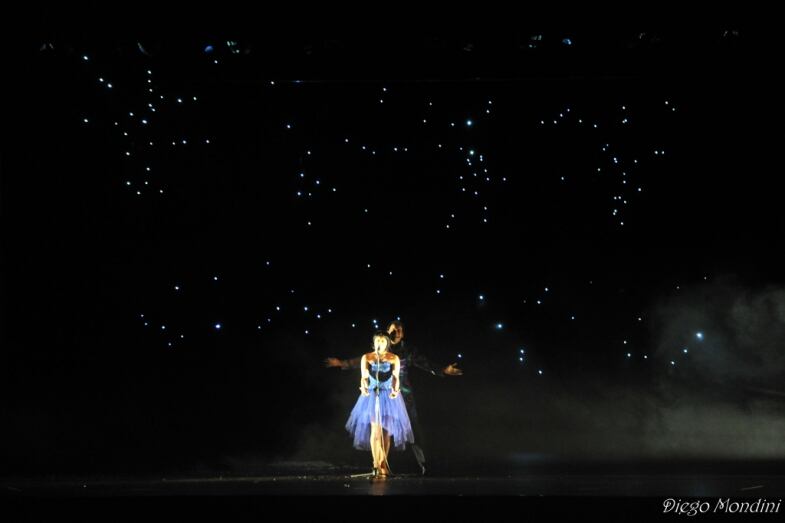 Fireflies X Erik Logan