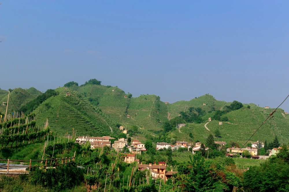 Prosecco vs Champagne la sfida infinita tra bollicine