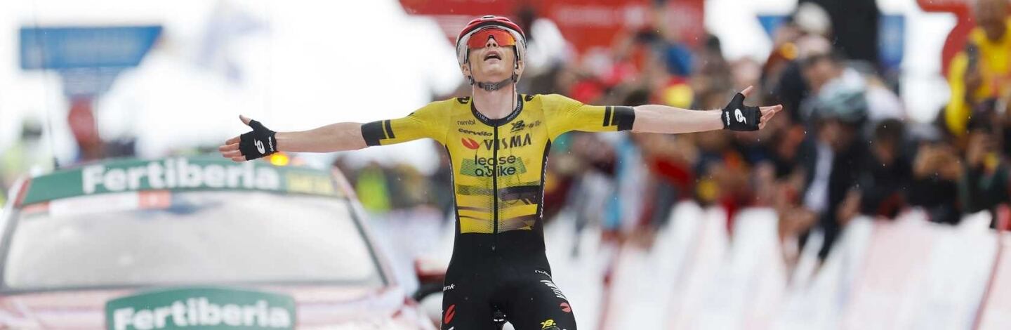 vingegaard copertina