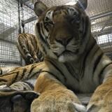 Image image-26-03-16-01-52-2