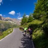 al-gavia-con-ballan-foto-riccardo-meneghini-6