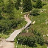 bike-park-del-tonale-foto-daniel-pezzani-1