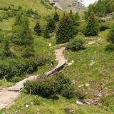 bike-park-del-tonale-foto-daniel-pezzani-3