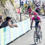 Peri X peri04-2-1024x710