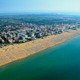 Bibione bibione
