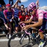 Peri X peri05-2-1024x692