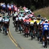 Gaviria Win Stage Amgen Tour Of California Cg Cycling gaviria-win-stage-5-amgen-tour-of-california-775137812cg00013-cycling-13-143