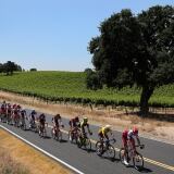 Gaviria Win Stage Amgen Tour Of California Cg Cycling gaviria-win-stage-5-amgen-tour-of-california-775137812cg00013-cycling-13-83