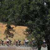 Gaviria Win Stage Amgen Tour Of California Cg Cycling gaviria-win-stage-5-amgen-tour-of-california-775137812cg00013-cycling-13-97
