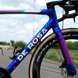 de-rosa-70-ogni-maggio-particolare
