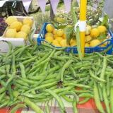 X 20150512-150913-1024x576