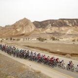 bettiniphoto-0331522-1-1024px