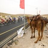 bettiniphoto-0331529-1-1024px