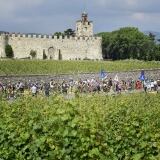 Franciacorta Stage Ff franciacorta-stage-ff44486-17