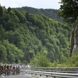 Zoncolan Stage Alp zoncolan-stage-14-alp4182-15