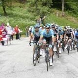 Zoncolan Stage Alp zoncolan-stage-14-alp4182-17