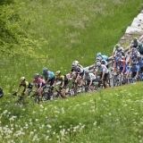 Zoncolan Stage Alp zoncolan-stage-14-alp4182-18