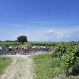 Zoncolan Stage Alp zoncolan-stage-14-alp4182-5