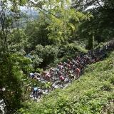 Zoncolan Stage Alp zoncolan-stage-14-alp4182-6