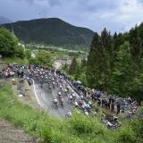 Zoncolan Stage Alp zoncolan-stage-14-alp4182-8