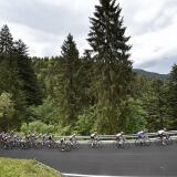 Zoncolan Stage Alp zoncolan-stage-14-alp4182-9