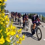 Bettiniphoto Full bettiniphoto-0206773-1-full