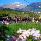 Bettiniphoto Full X bettiniphoto-0205097-1-full-1024x713