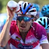 Pinot Action pinot-action-0