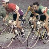 43082959b1be4498da10db153f2e233f