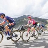 Media Compressed media-57138655-56736546-compressed