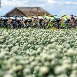 O X 11259787-10153717542297428-7556999451815024822-o-1024x674