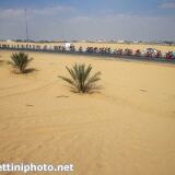 Bettiniphoto Px X bettiniphoto-0233049-1-1024px-1-1024x683