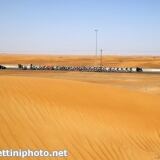 Bettiniphoto Px X bettiniphoto-0233549-1-1024px-1024x683