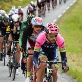 20150813arn8011-1024x682