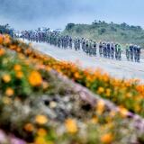 O X 13243672-10153708549297428-1243220475221977343-o-1024x675