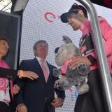 Zen X zen-94532-1024x724