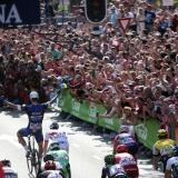 Bazz X 1-bazz0115-1024x657