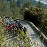 Pnc X 20160312pnc4010-1024x683