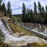 O X 13247857-10153710712187428-4470087211594476992-o-1024x687