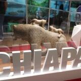 X 20150804-195656-1024x576